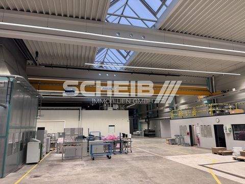 Schwäbisch Hall Halle, Schwäbisch Hall Hallenfläche