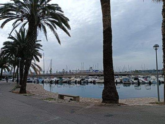 Geschäftslokal in erster Linie des Paseo Marítimo, Mallorca