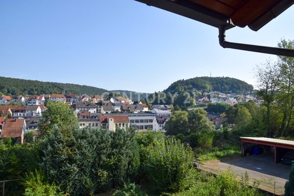 Ausblick auf Rodalben Balkon EG