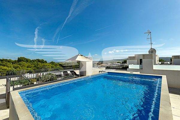 Privatpool Dachterrasse