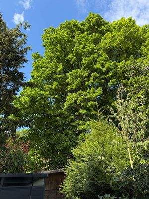 =?UTF-8?Q?Ausblick_von_Haust=C3=BCr?=