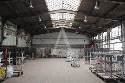 Düsseldorf Halle, Düsseldorf Hallenfläche