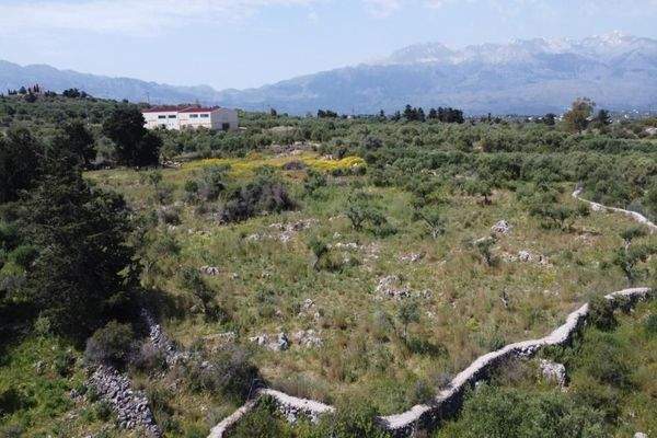 Kreta, Kefalas: Malerisches Grundstück mit Meerblick zu verkaufen