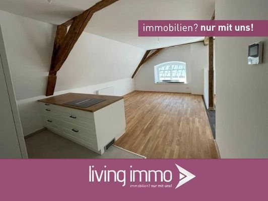 Vorlage Startbild Normal Logo und Fenster living immo Farbe-2