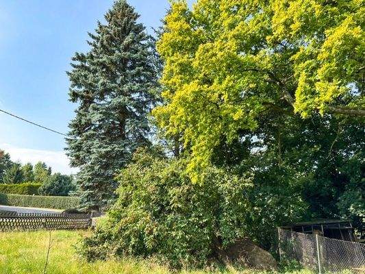 Blick aus dem Garten nach Nordwesten