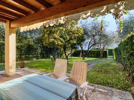 Essen im Freien mit Orangenbaum.jpg