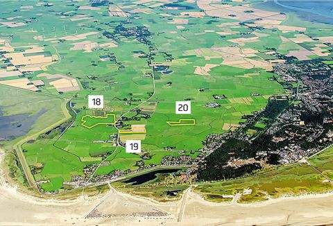 Sankt Peter-Ording Bauernhöfe, Landwirtschaft, Sankt Peter-Ording Forstwirtschaft