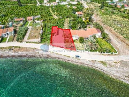 img_6f5ff3cb-b108-42be-8306-8e30df8b4893