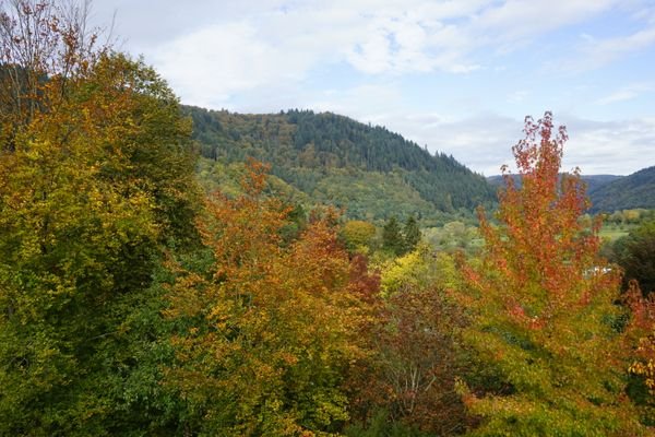 Herbstliche Aussicht.JPG