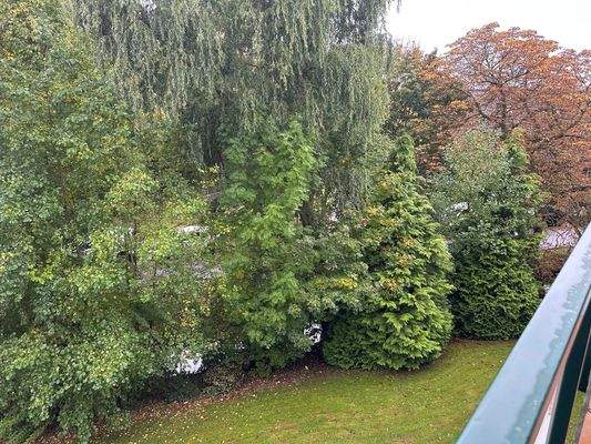 Blick vom Balkon.jpg