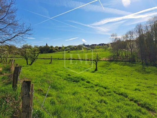 Grünland hinter dem Herrenhaus