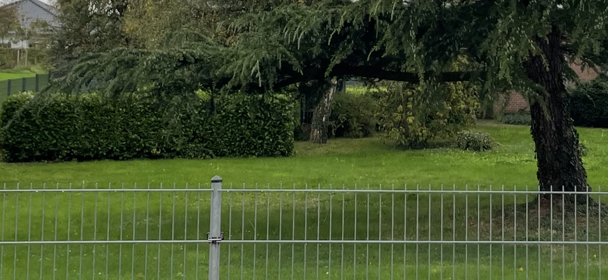 Strassenansicht Front ca. 40 m breit