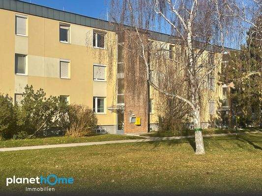 Park vor und hinter dem Haus