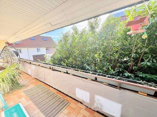 WhatsApp Image 2026-02-26 at 18.42.43 (14).jpeg