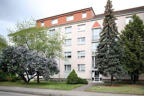 Neubrandenburg Wohnungen, Neubrandenburg Wohnung mieten