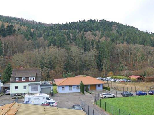 Ausblick in die Natur