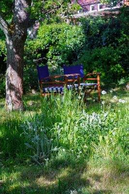 Ruhe im Schatten der Bäume.jpg