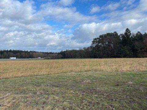 Hausen / Herrnwahlthann Bauernhöfe, Landwirtschaft, Hausen / Herrnwahlthann Forstwirtschaft