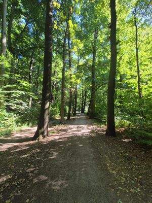 Sahnpark 250 m entfernt