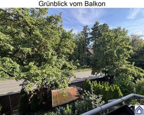 Blick ins Grüne