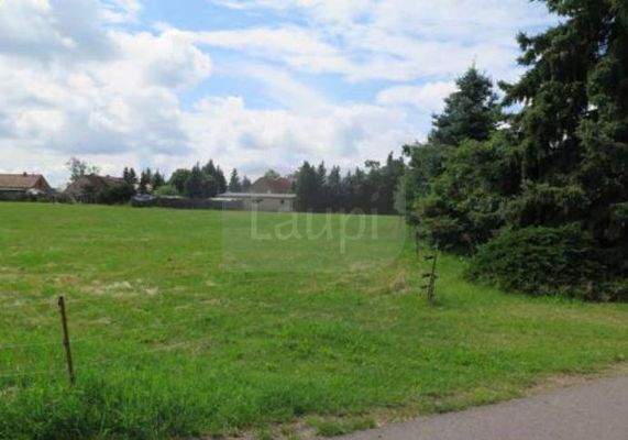 Grundstücksansicht im Sommer 11