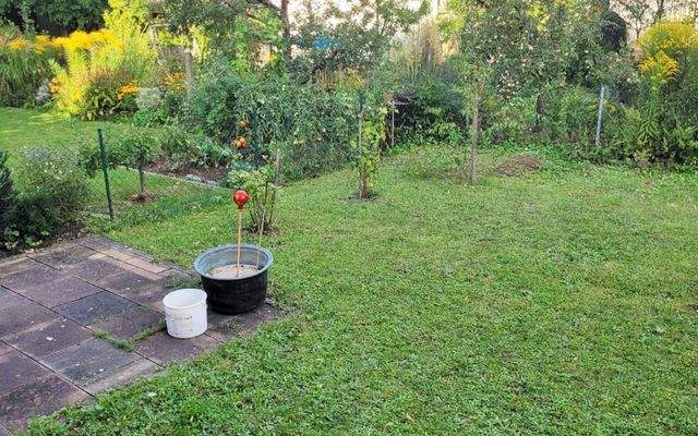 Zimmer mieten in Kornwestheim Ludwigsburg Stuttgart bei urbanbnb  Garten.jpeg