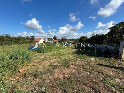 Monte Magno - Valdebek Bauernhöfe, Landwirtschaft, Monte Magno - Valdebek Forstwirtschaft