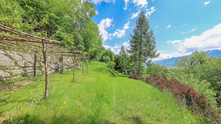 KITZIMMO-Landhaus mit Panoramablick und 6.127 m² Grundstück kaufen - Immobilien Zell am See.