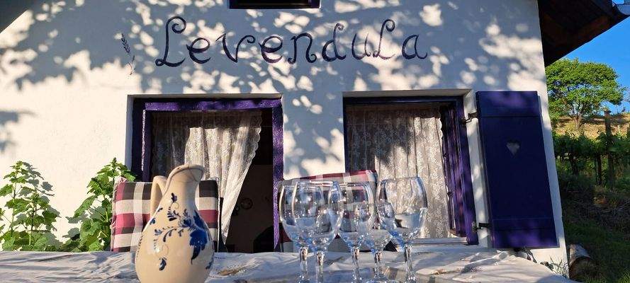 WhatsApp Image 2025-10-22 at 14.15.51.jpeg