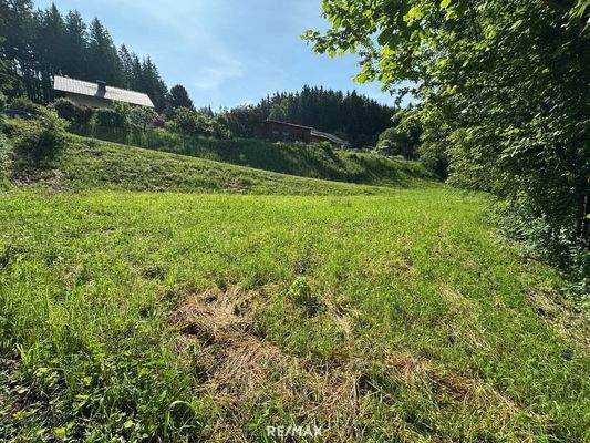 03_Sicht gegen Osten