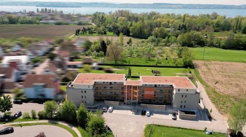 Uhldingen-Mühlhofen Wohnungen, Uhldingen-Mühlhofen Wohnung mieten