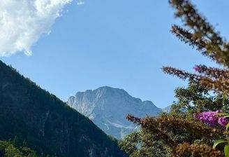 Bergblick vom Grundstück aus