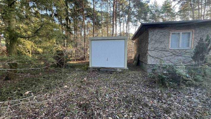 1123-2024-12-15 044.jpg