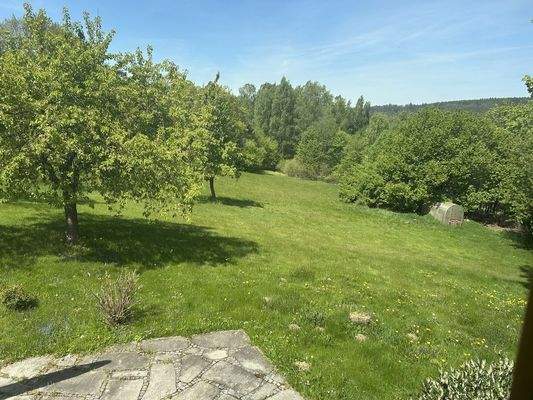 Unendliche Weite voller Grün