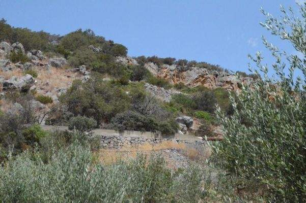 Kreta, Kalo Chorio: Baugrundstück in der Nähe von Stränden zu verkaufen