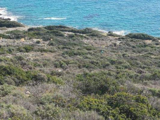 Kreta, Plaka Elounda: Bauland direkt am Meer zu verkaufen