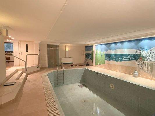 Schwimmbad Souterrain 