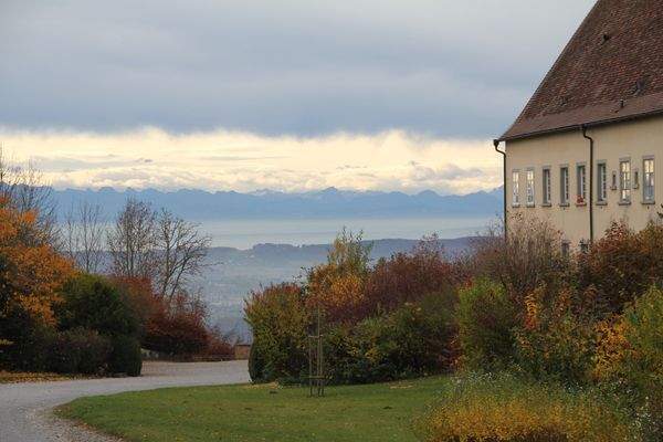 Bodenseeblick