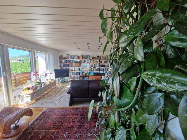 Wohnzimmer von Pfanze Richtung Weinberge.jpg