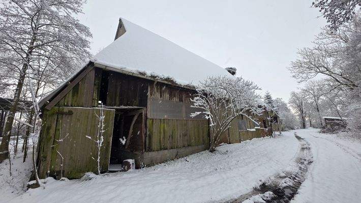 Stall mit Pferdeboxen