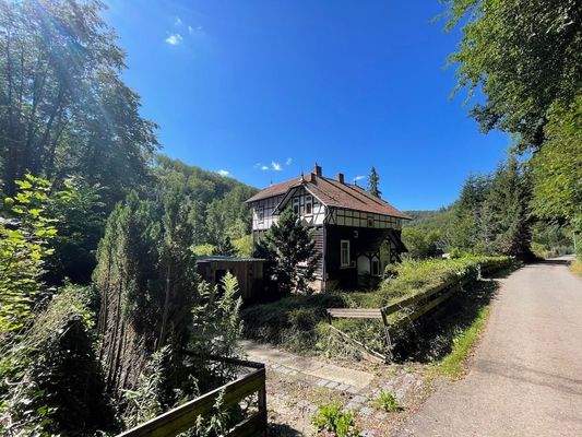 004020156800_302_299_12092023153448805