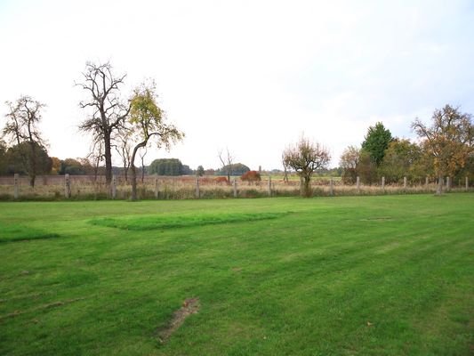 Blick in den Garten