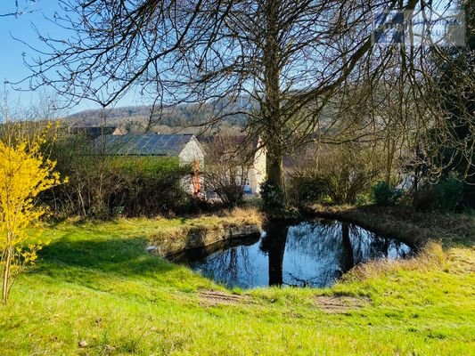 Weiher