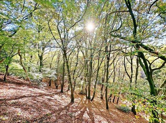 Entspannungsmöglichkeit auf dem eigenen Grundstück