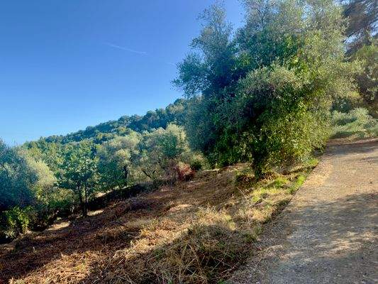 DA1046_08 TERRA ITALIA IMMOBILIEN_REAL ESTATE_FOR 