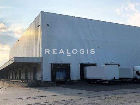 Ludwigsfelde Halle, Ludwigsfelde Hallenfläche