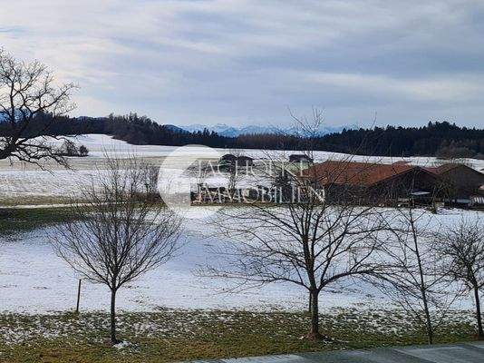 477.Grundstück.Bergblick