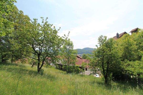 Grund mit Obstbaumbestand