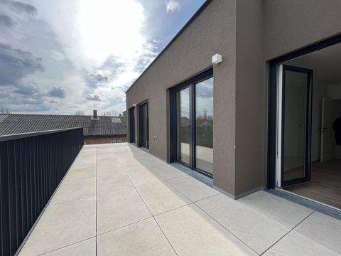 Guntramsdorf Wohnungen, Guntramsdorf Wohnung mieten