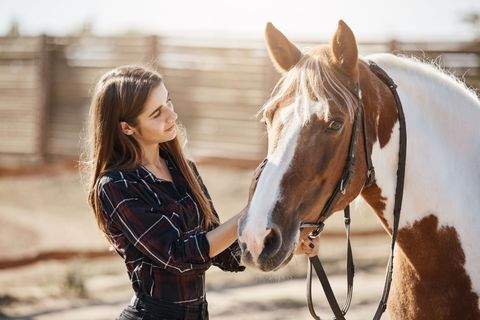 Kressbronn am Bodensee Industrieflächen, Lagerflächen, Produktionshalle, Serviceflächen
